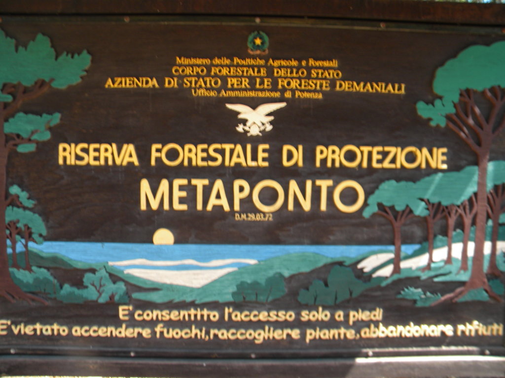 DSCN2621 .JPG